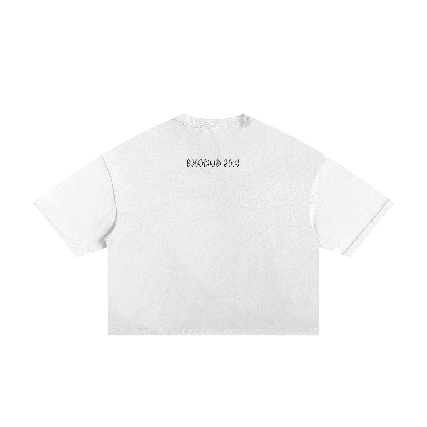 " AMERICAN IDOL " TEE