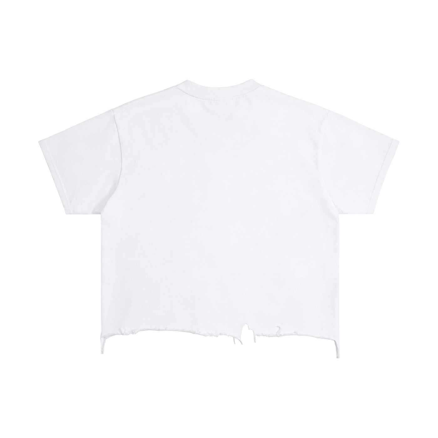 MANIAC DIVERSION T