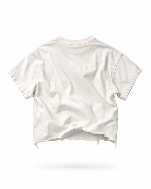 MANIAC DIVERSION T