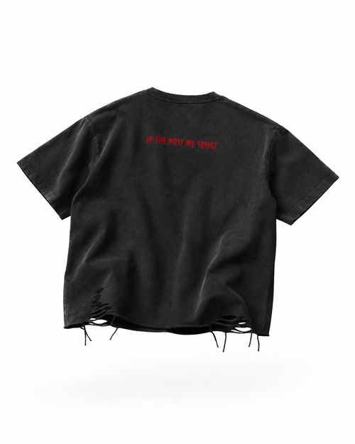 NEED MONEY 4 DIVERSION T